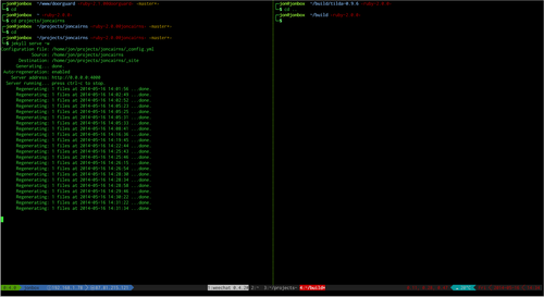 Screenshot showing my terminal configuration